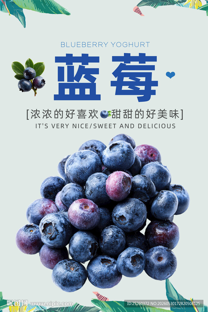 蓝莓