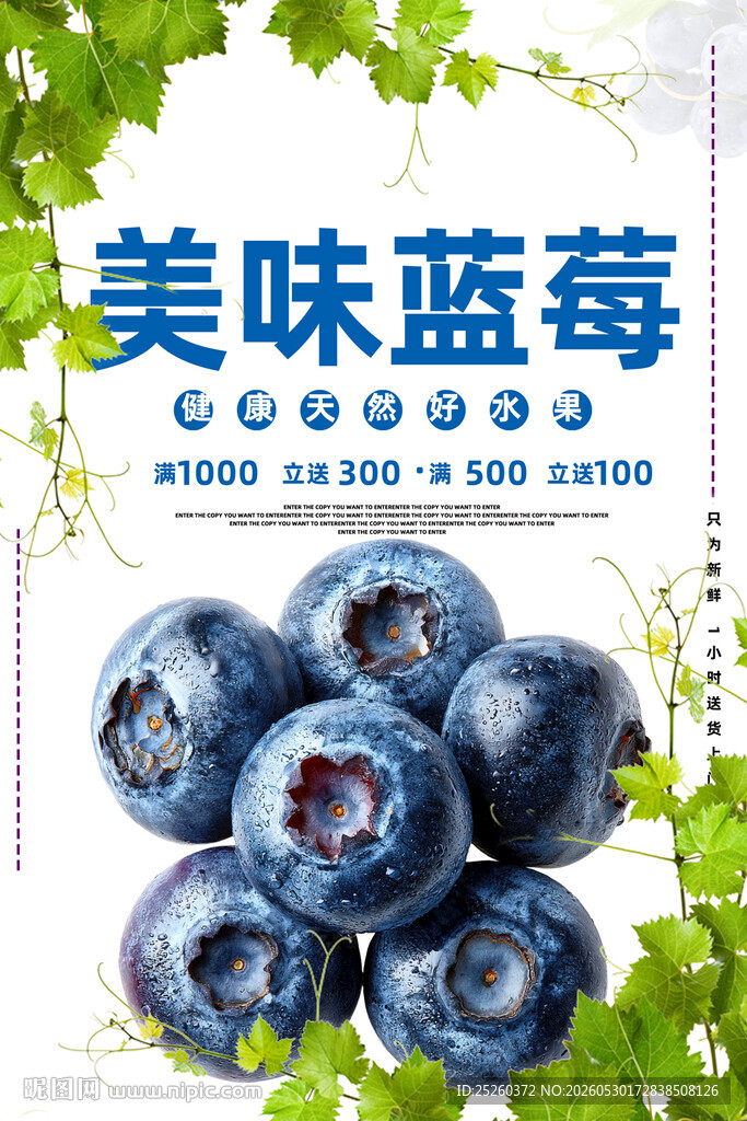 蓝莓