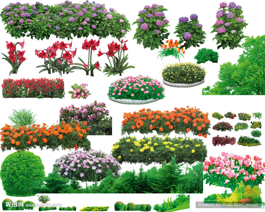 花草