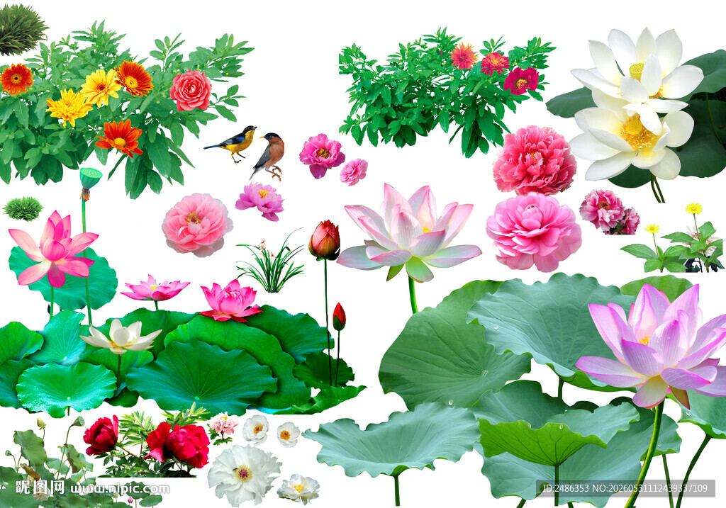 花草