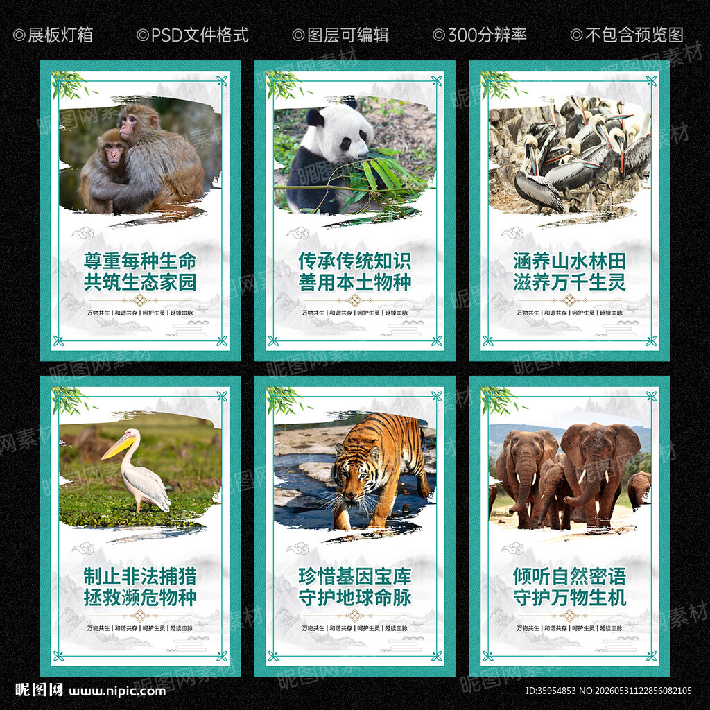 保护生物多样性