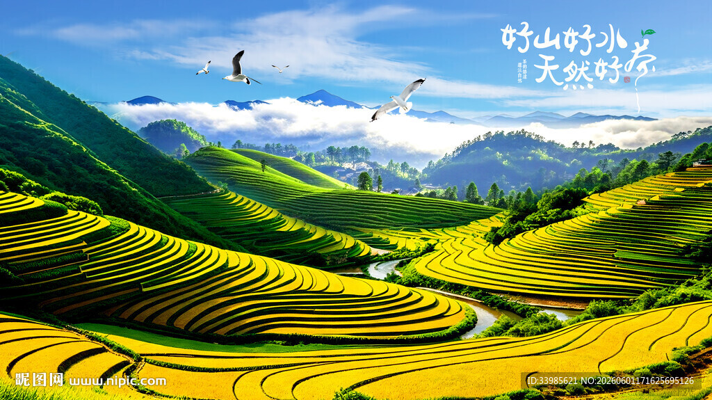 梯田