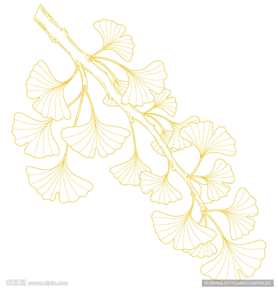 金色银杏枝叶矢量插画 矢量图