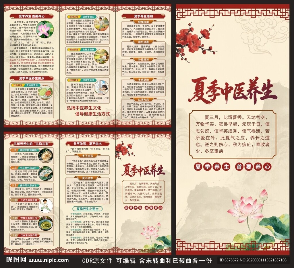 夏季中医养生三折页