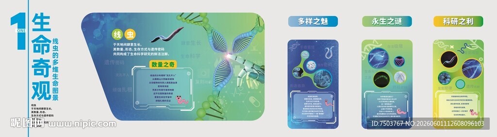 多彩手机展示
