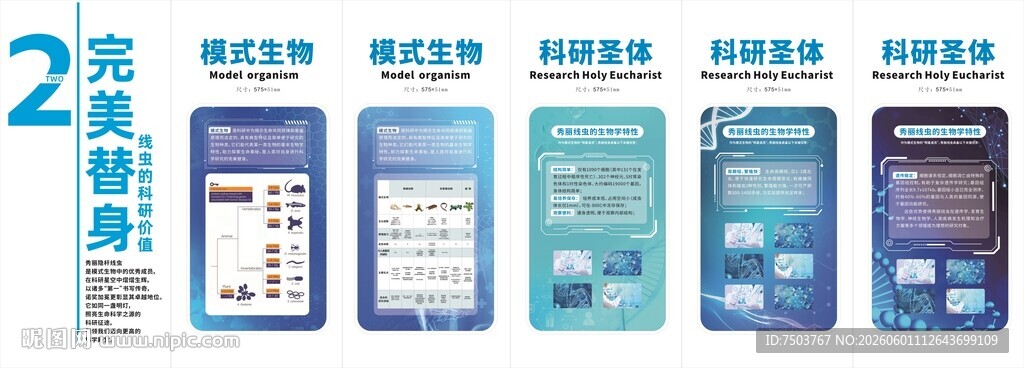 2款手机壳展示图