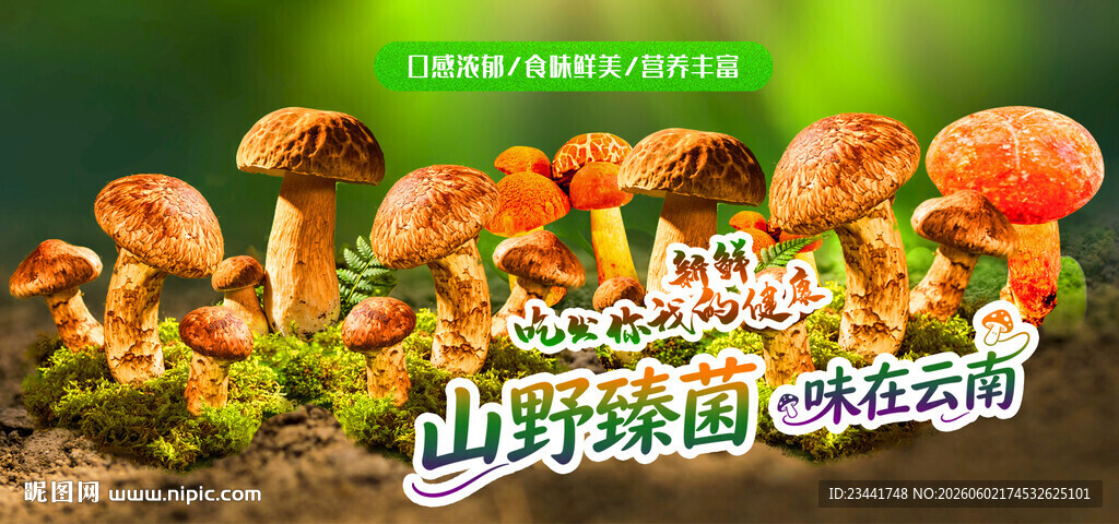 野生菌广告  