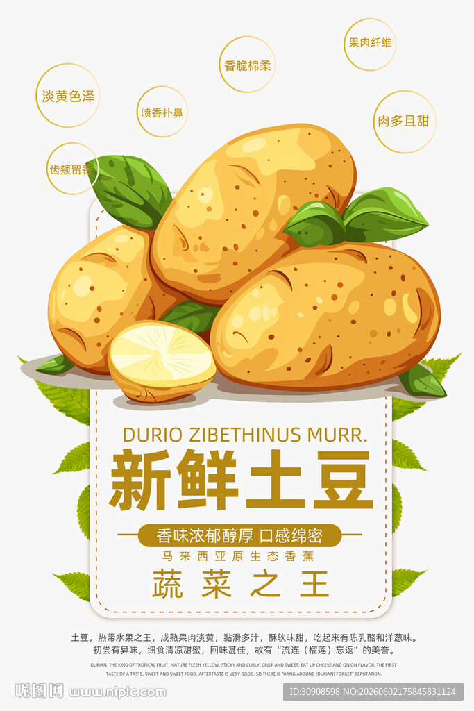 土豆