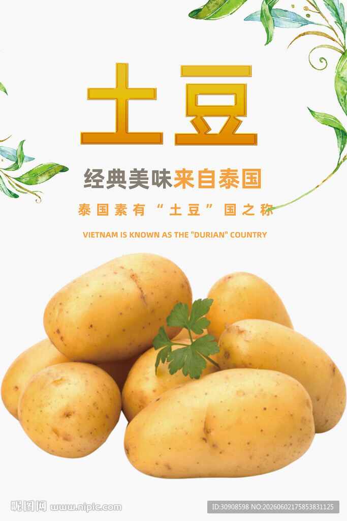 土豆