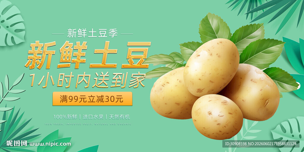 土豆