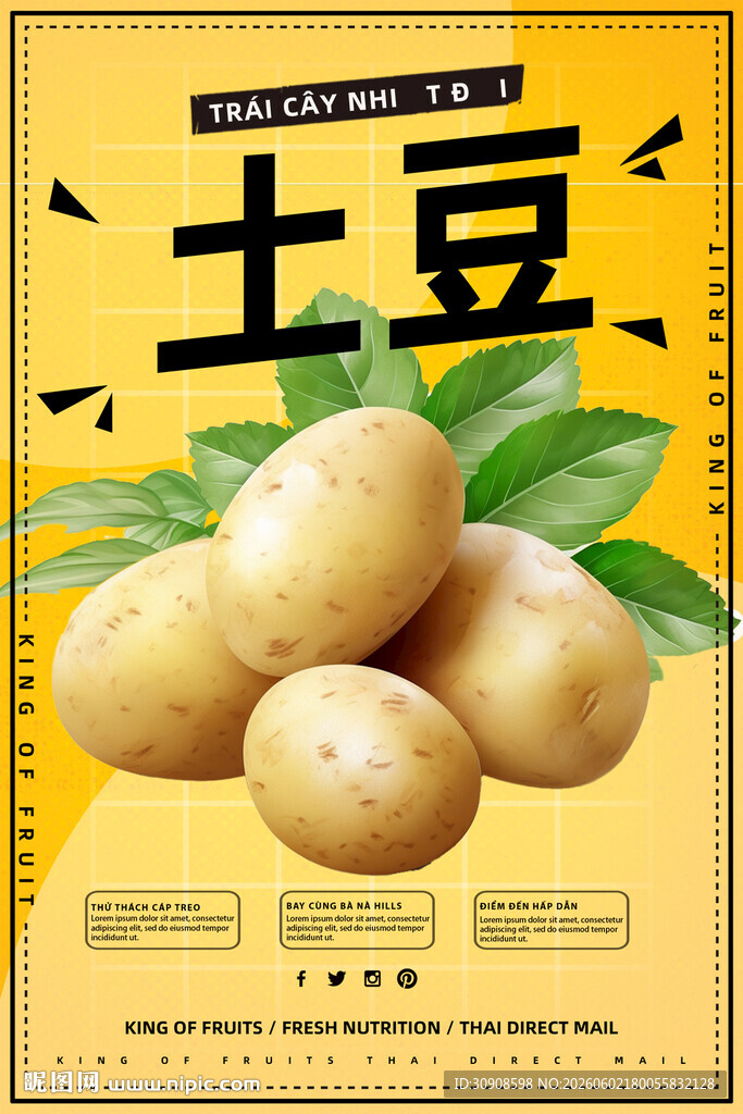 土豆