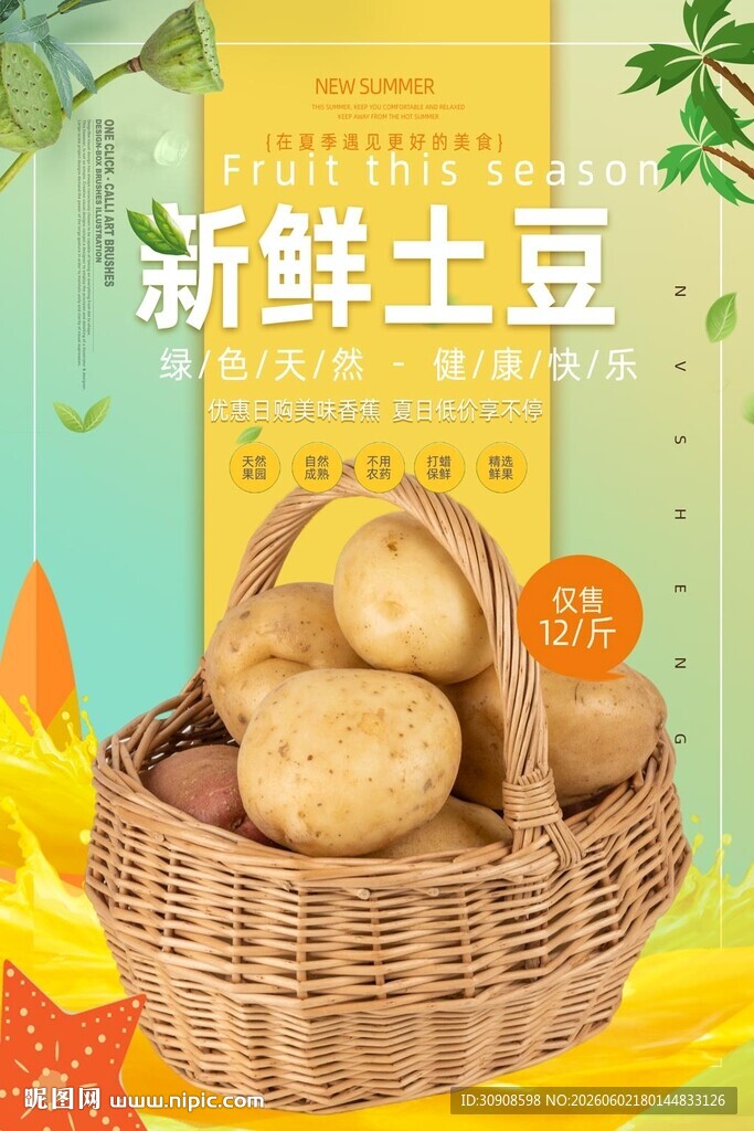 土豆