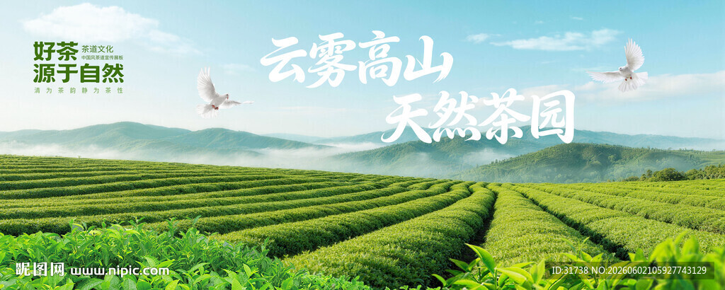 茶园