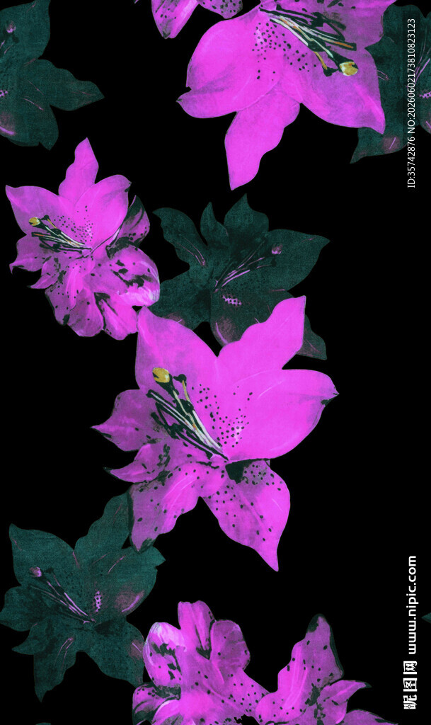 紫艳三角梅绽放