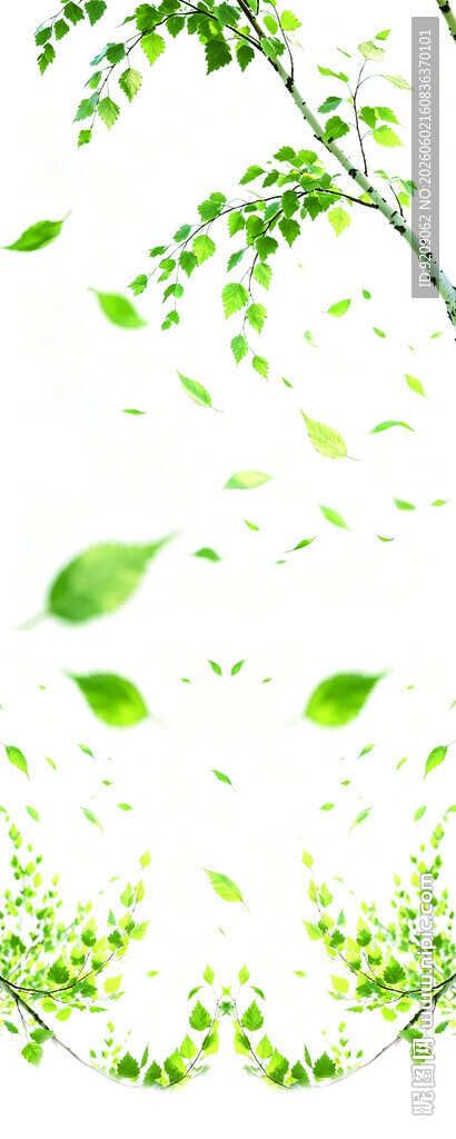 清新绿叶飘动自然景象