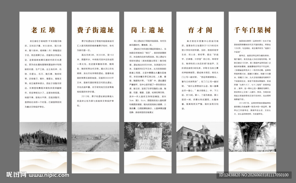阜阳临泉古迹简介