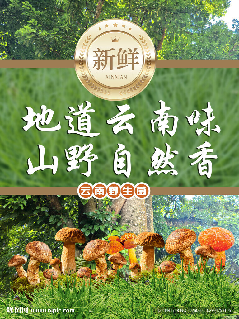 野生菌广告