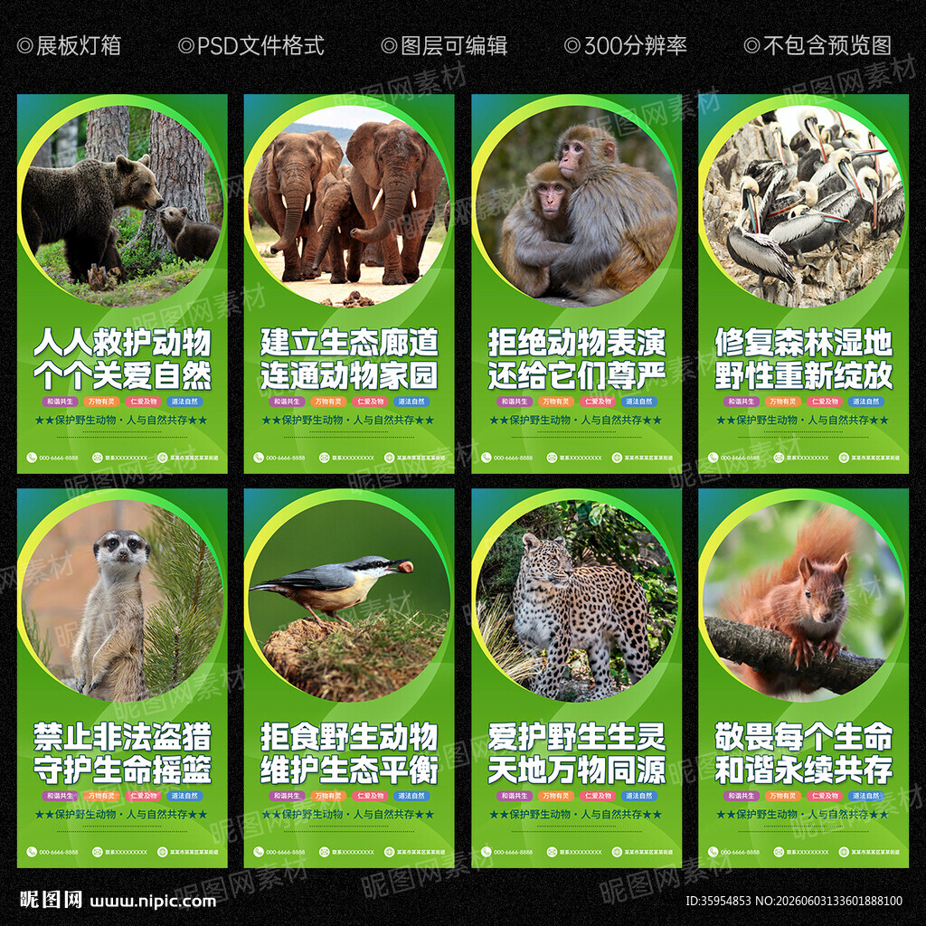 保护野生动物