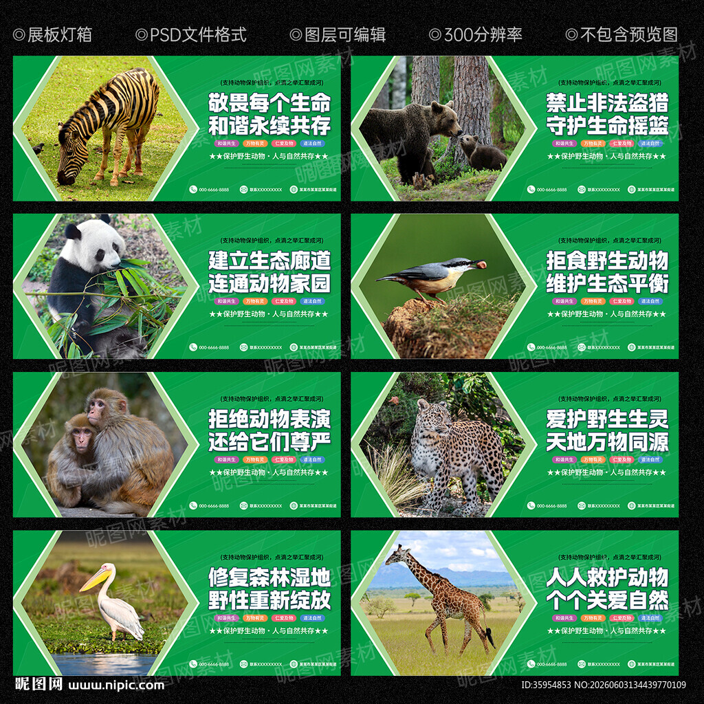 保护野生动物