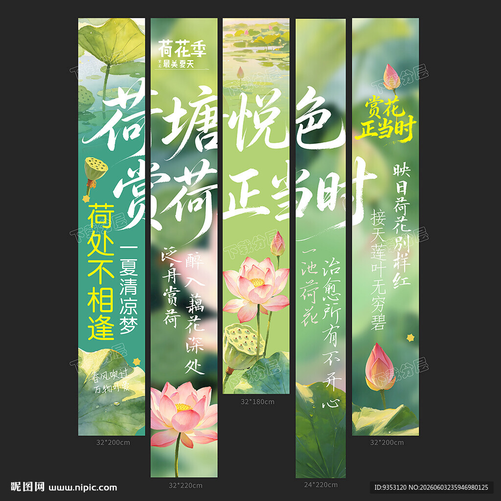 赏荷花