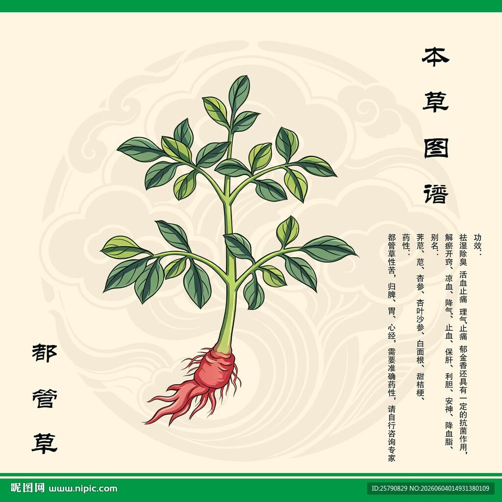都管草草药图示