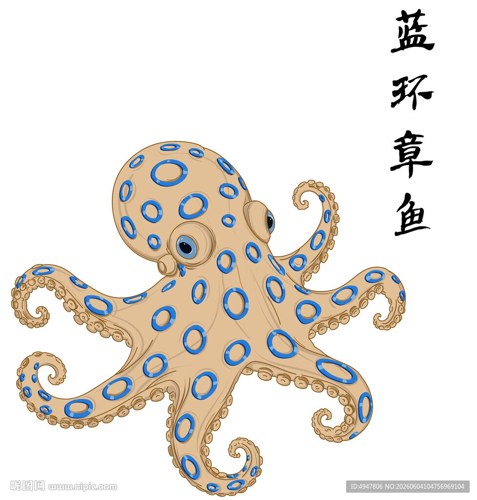 蓝环章鱼插画图案 矢量图