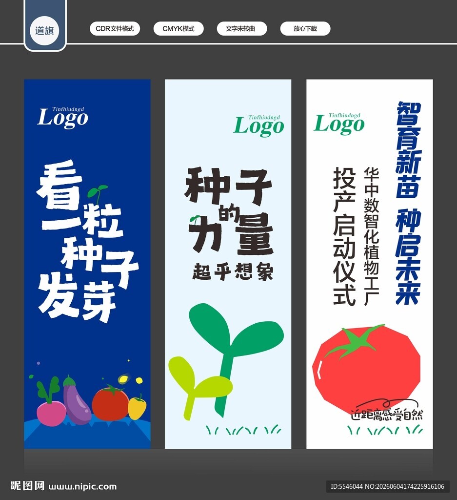 道旗