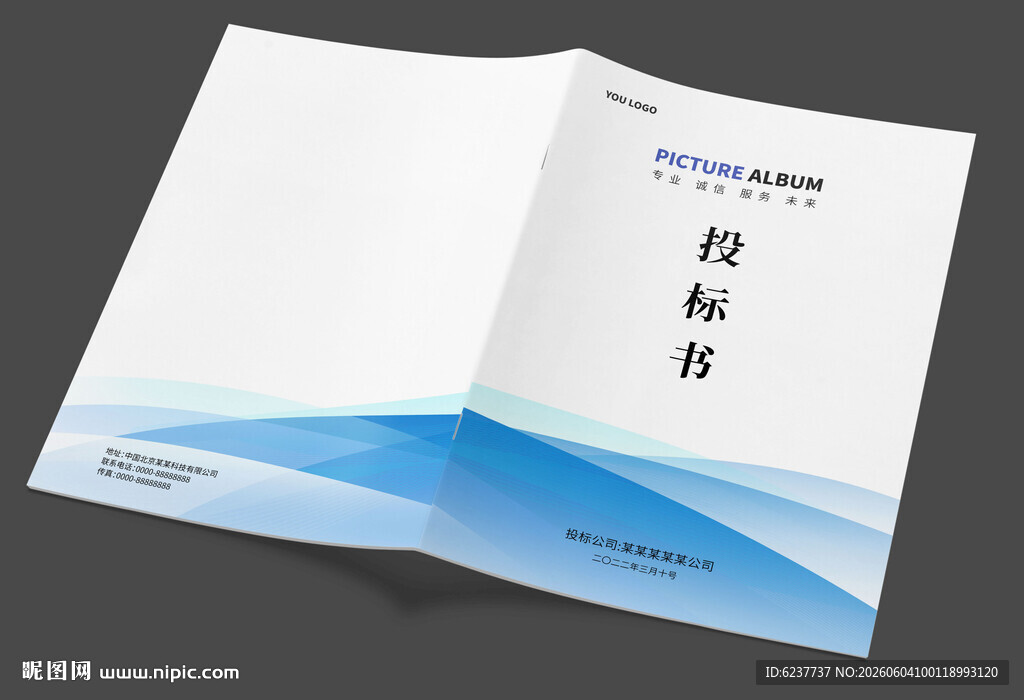 投标书画册封面