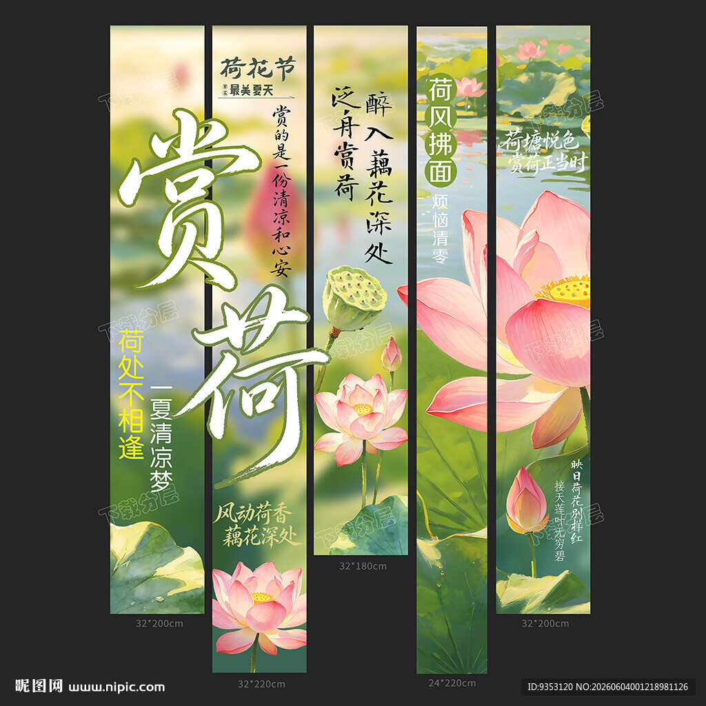 荷花节