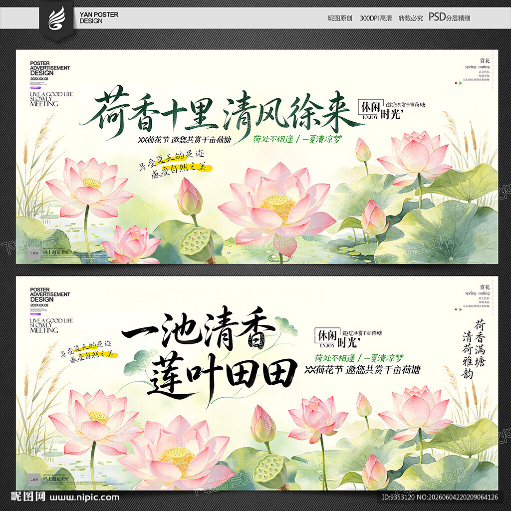 赏荷花
