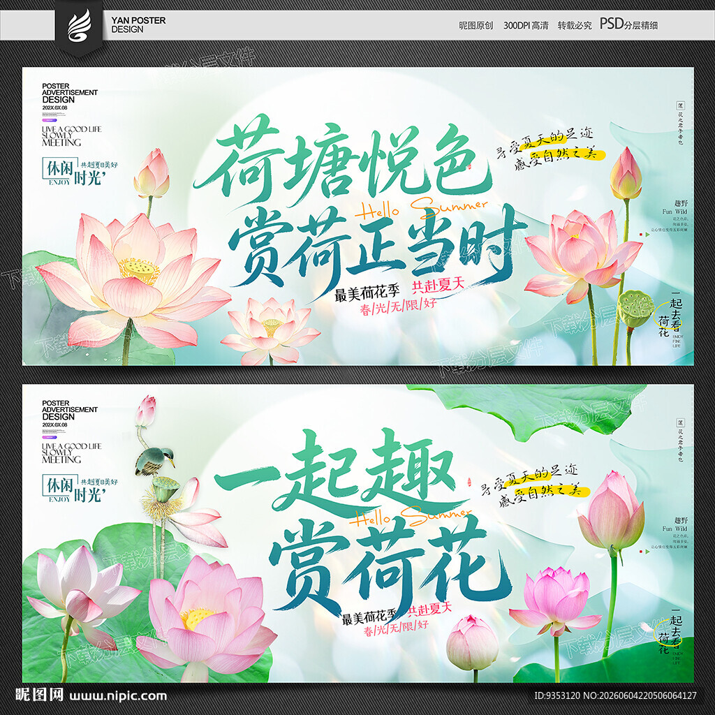 荷花