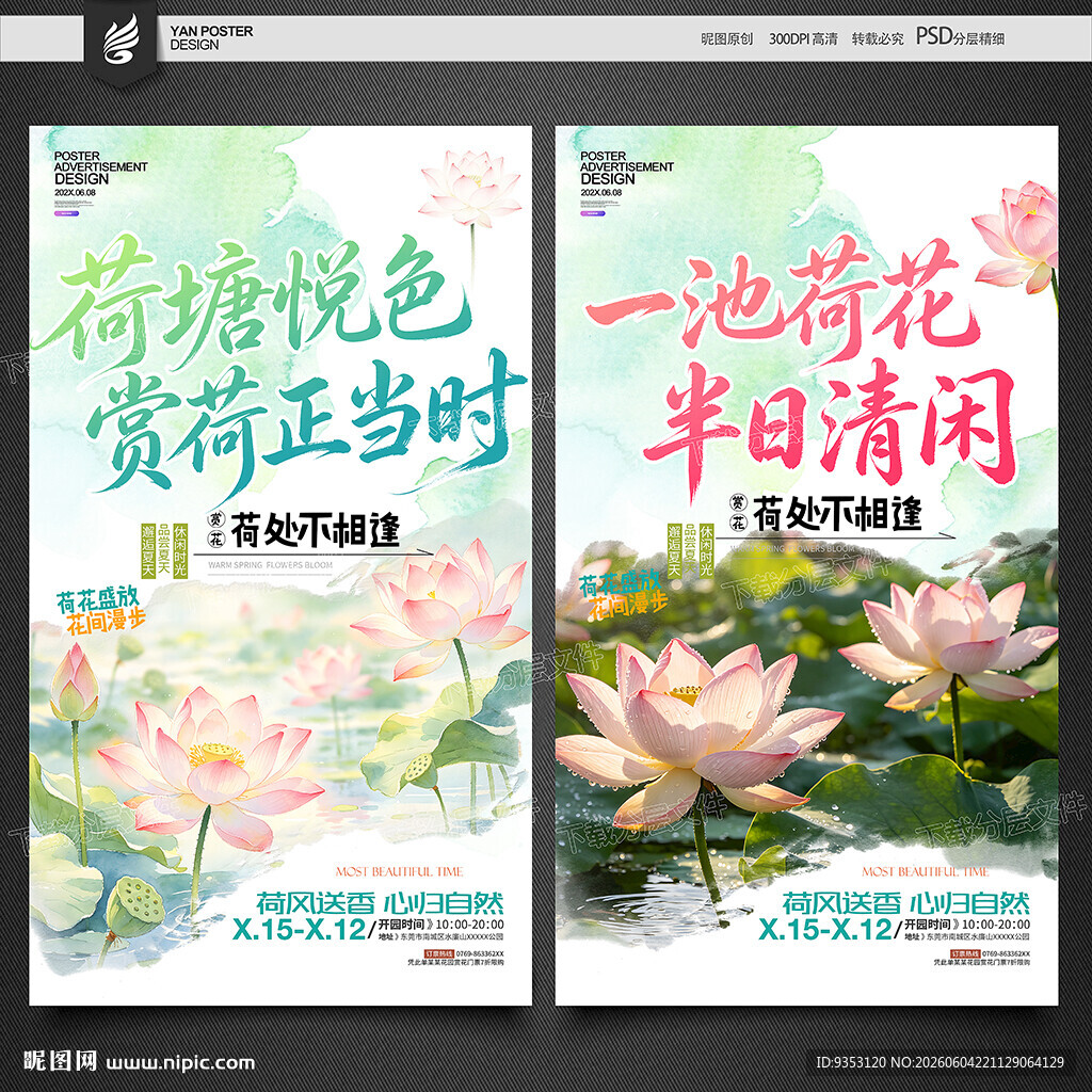 荷花
