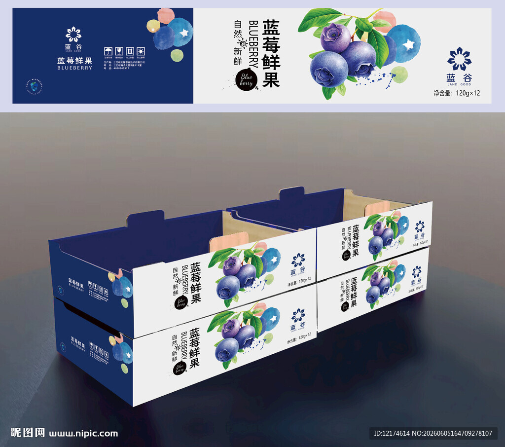 蓝莓包装盒设计展示