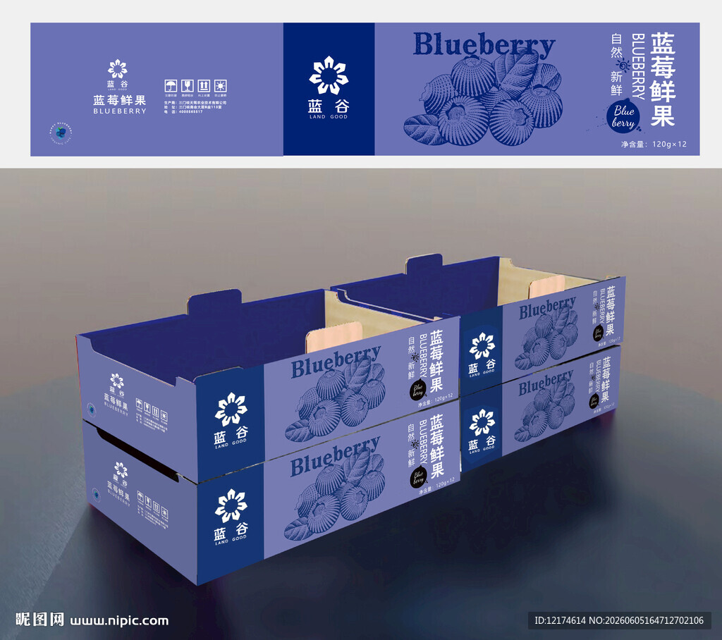 蓝莓包装盒设计展示
