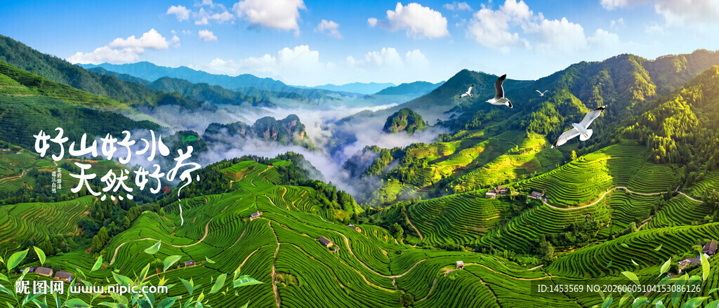 青山茶山