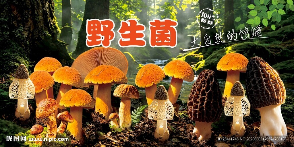 野生菌广告