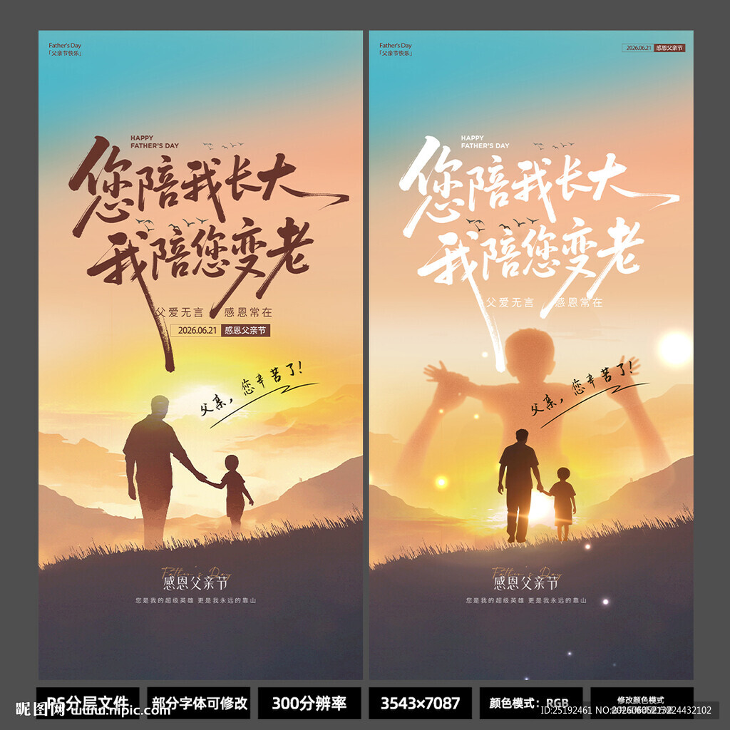 您陪我长大父亲节竖版海报 黄昏