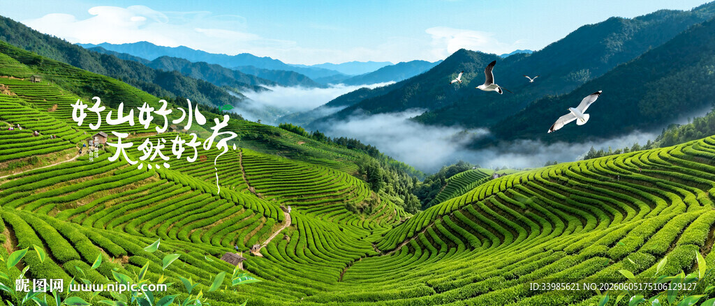 茶山