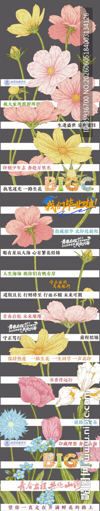 毕业季斑马线
