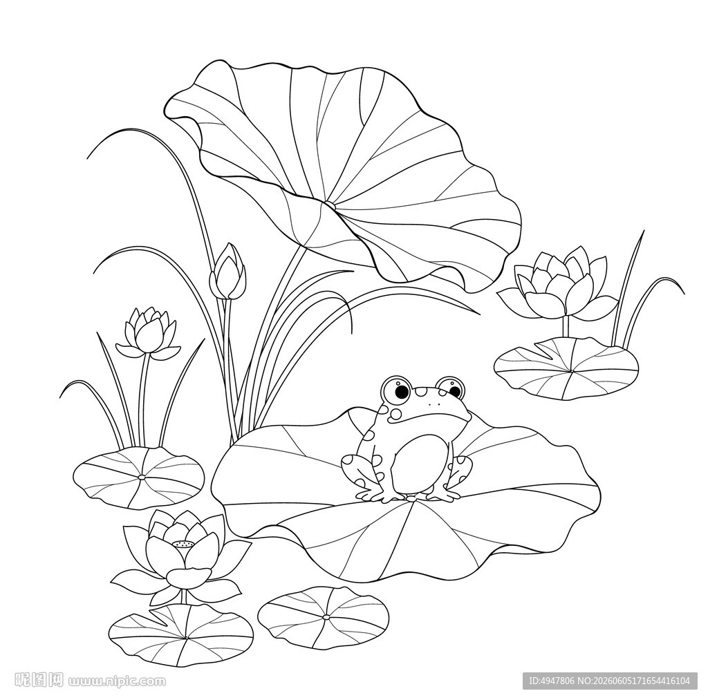 荷叶上的青蛙简笔画 矢量图