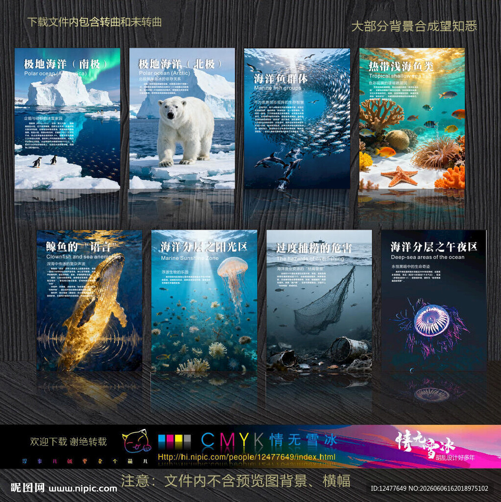 海洋科普海报