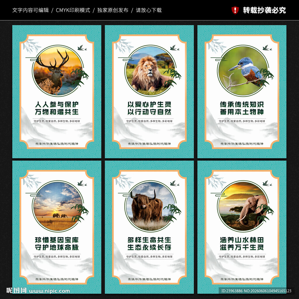 生物多样性保护展板