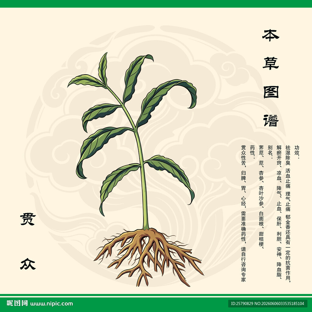 贯众草本植物图示