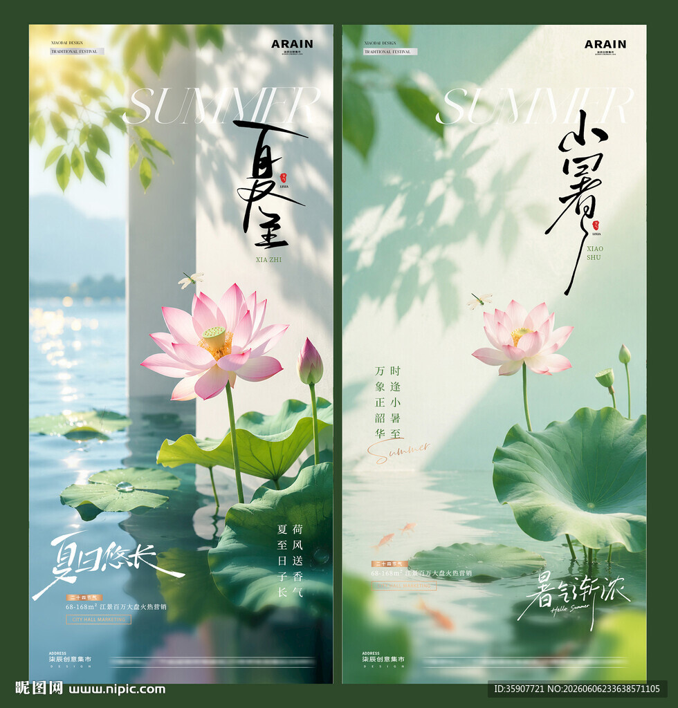 夏至小暑荷花节气海报