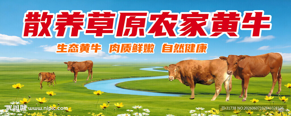黄牛