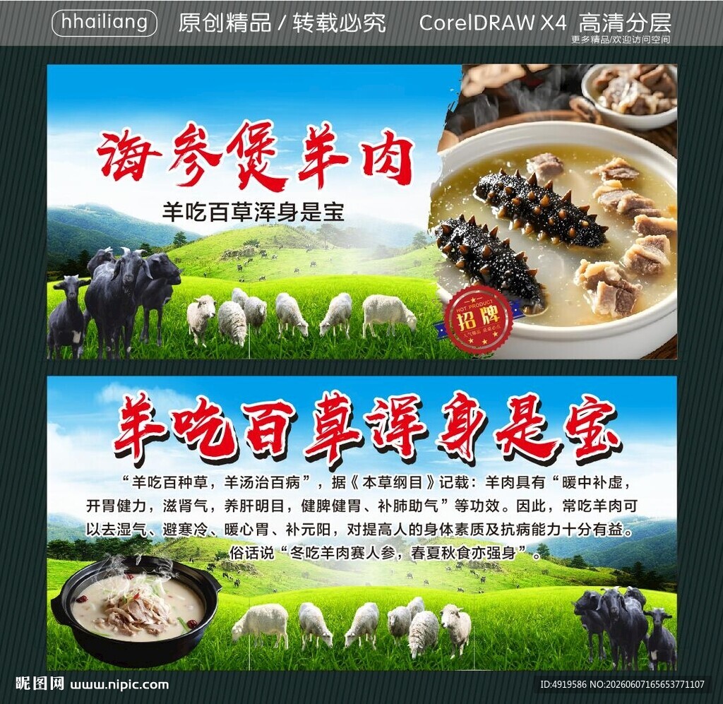 海参煲羊肉