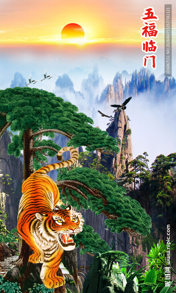 老虎图