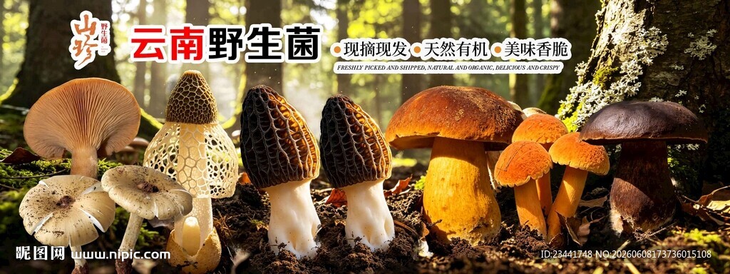 野生菌广告