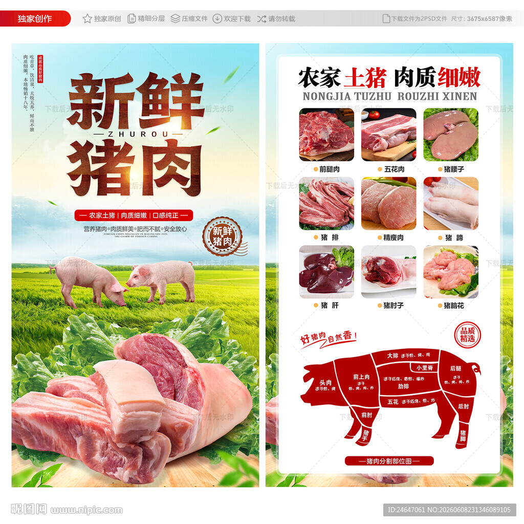 猪肉