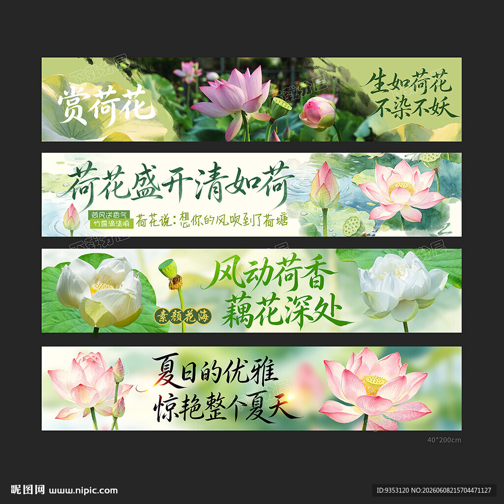 荷花横幅
